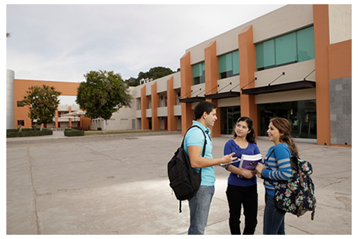 ¿Qué voy a aprender?